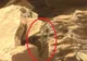 "NASA ascunde adevărul!" Ce caută un șarpe într-o fotografie de pe planeta Marte?
