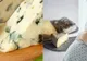 Alimentul pe care multe gravide îl consumă, dar nu ştiu că le este interzis!