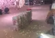 Ce au văzut părinții miresei în mijlocul petrecerii. Cadoul mirelui i-a lăsat pe toți fără vorbe