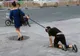 O bogătașă din China a ieșit pe stradă cu un bărbat în lesă. Ce au văzut trecătorii e incredibil