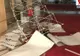Studioul Realitatea TV de la Casa Poporului, vandalizat