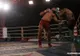 Confruntarea greilor la Superkombat! Un român este marele câştigător 