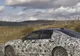 Noul BMW Seria 5 a ieşit camuflat pe străzi. Imagini inedite cu modelul bavarez