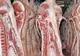 Bacteria E.Coli, descoperită de ANSVSA într-un supermarket și trei abatoare din țară