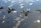 Rușii și americanii, la un pas de "ciocnire" în Siria