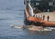 Descoperire înfiorătoare! Creatură misterioasă, scoasă din adâncuri. Marinarii au îngheţat de spaimă