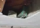 S-au mutat într-o casă nouă şi au găsit două cutii ascunse în pod. Sunt cel mai norocos cuplu!
