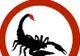 Horoscop 25 octombrie. Previziuni pentru toate zodiile 