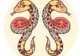 Horoscop 19 octombrie. Certuri, dezamăgiri, dar şi satisfacţii financiare URIAŞE! Şi totuşi...