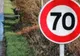 Viteza-limită în localități ar putea crește la 70 km pe oră! Proiect pentru voturile șoferilor