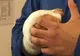 Un mare muzician, operat. S-a accidentat la mână, după ce a sărit pe fereastră 