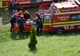 Tragedie la Braşov: un copac a căzut peste un trecător