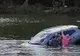 Imagini şocante! Un bărbat şi câinele lui sunt salvaţi în ultimul moment de la înec 