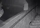 Au auzit un zgomot pe hol, noaptea. Când au mers să verifice, șoc. Ce au găsit pe scări
