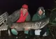 Captură record pentru doi pescari din Satu Mare: au prins un somn-gigant! Câte kg are