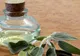 Uleiul din această plantă ieftină, miracol pentru întreg organismul. Tratează zeci de afecţiuni 