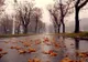 Vreme rece și ploi, la început de weekend. Prognoza meteo pentru sâmbătă și duminică