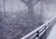 Informare meteo: ploi, ninsori și vânt în următoarele zile. Temperaturile se prăbușesc