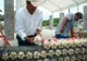 A construit o casă din sticle de plastic reciclate. Le-a folosit în loc de cărămidă. Cum arată