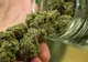 Încă trei state din SUA au aprobat consumul de marijuana în scop recreativ