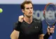 Turneul Campionilor. Andy Murray, show cu japonezul Kei Nishikori. Meciul a durat 3 ore și 20 minute
