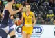  România, învinsă de Turcia în ultimul meci din cadrul Eurobasket 2017 