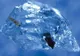 De necrezut! Un diamant a fost expulzat din centrul Pământului și a dezvăluit un mare SECRET 