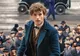 "Fantastic Beasts and Where to Find Them" se lanseză în cinematografele din România!