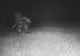 Poliția a montat camere de luat vederi într-un parc din oraș. Ce se întâmplă noaptea acolo e șocant
