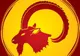 Horoscop 10 noiembrie. Prima zi dintr-un şir NEGRU pentru aceste trei zodii! În schimb, BANII... 