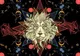 Horoscop 24 noiembrie 2016