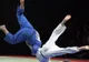 Judo: O medalie de aur și două de bronz pentru România, la Mondialele de veterani