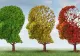 5 trucuri prin care să-ți îmbunătățești memoria la orice vârstă