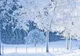 Vin ninsorile şi gerul. Prognoza meteo pentru acest weekend 