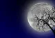 Cum te va influența Super Luna din 14 noiembrie