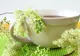 Plante care te lecuiesc de durerile articulare