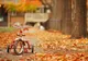 PROGNOZA METEO pentru weekend