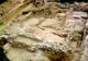 Descoperire ULUITOARE făcută de arheologii din Israel