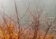 Temperaturile vor scădea brusc! PROGNOZA METEO pentru marţi şi miercuri