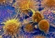 Singurul fruct care poate preveni și lupta cu toate tipurile de cancer