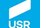 REZULTATE ALEGERI DIASPORA: USR a primit cele mai multe voturi. PSD, doar 10%