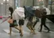 Informare meteo de VÂNT puternic şi PLOI, în toată ţara. Strat nou de zăpadă