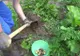 Şi-a pierdut verigheta din aur în timp ce planta legume. INCREDIBIL!Ce a răsărit trei ani mai târziu