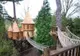 Şi-a construit un castel în copac. Oaspeţii au rămas ULUIŢI când au văzut ce e, de fapt, înăuntru