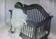 Camera ascunsă a înregistrat cum bunica o așeza în pătuc pe nepoată. Ce a urmat. Mama a fost şocată