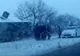 Accident CUMPLIT. 9 copii au murit după ce un autobuz s-a ciocnit cu un TIR