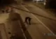 Trei interlopi au omorât în bătaie un bărbat! Camerele de supraveghere au surprins totul 