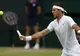 Del Potro l-a învins pe David Ferrer într-un meci demonstrav spectaculos 