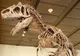 Scheletul unui dinozaur dispărut în urmă cu 135 de milioane de ani, vândut pentru 1,1 mil. euro