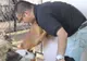 Dacă eşti iubitor de animale trebuie să vezi asta! Ce a făcut un indian cu 735 de câini abandonați